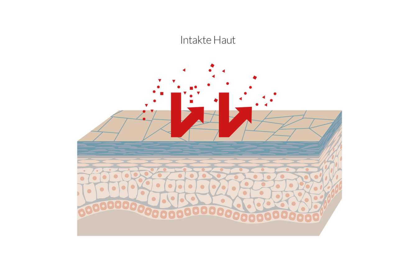 bebomed Intakte Haut Illustration